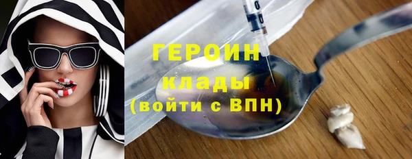 гашик Алексин