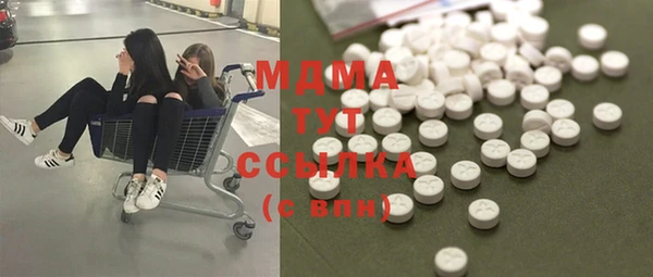 гашик Алексин