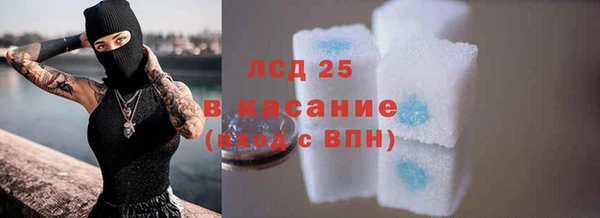 гашик Алексин