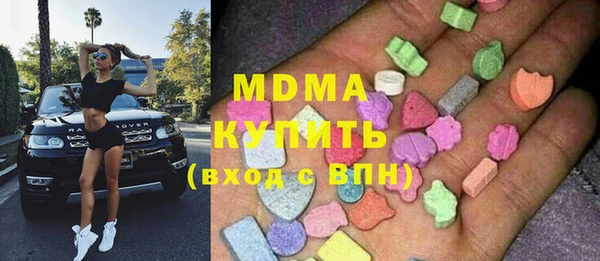 гашик Алексин