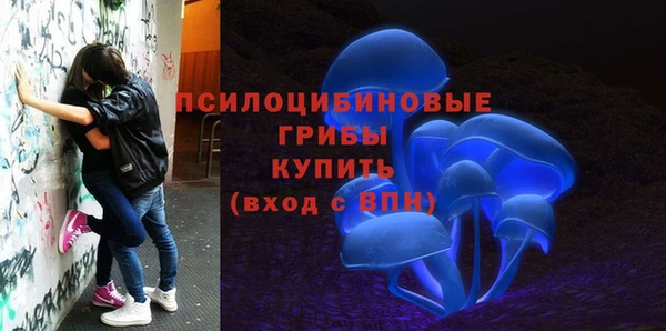гашик Алексин