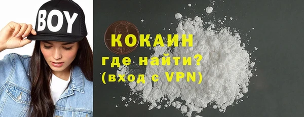 гашик Алексин