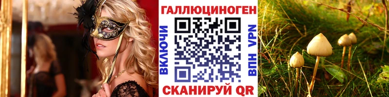 где найти наркотики  Морозовск  Псилоцибиновые грибы мухоморы 